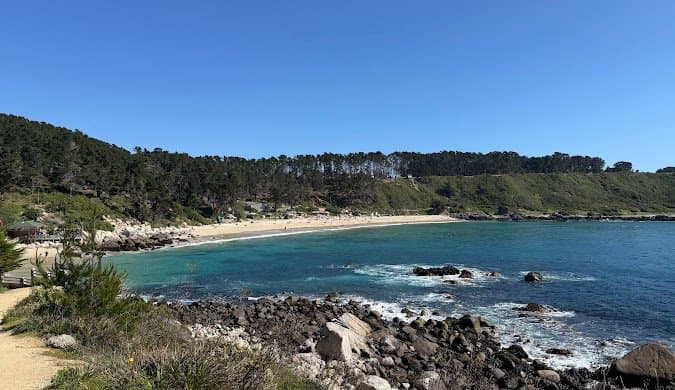Algarrobo