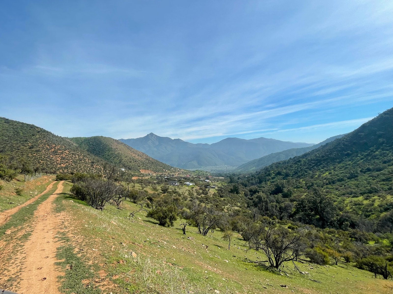 Montañas y vegetación